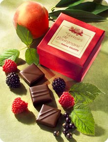 chocolats terroirs de bourgogne