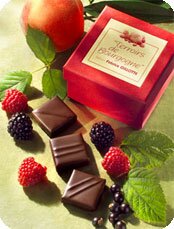 chocolats coffret Terroirs de Bourgogne